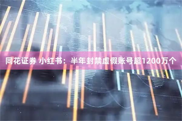 同花证券 小红书：半年封禁虚假账号超1200万个