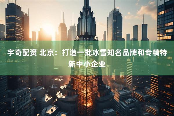 宇奇配资 北京：打造一批冰雪知名品牌和专精特新中小企业