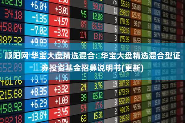 顺阳网 华宝大盘精选混合: 华宝大盘精选混合型证券投资基金招募说明书(更新)