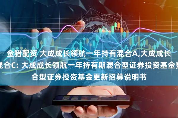 金猪配资 大成成长领航一年持有混合A,大成成长领航一年持有混合C: 大成成长领航一年持有期混合型证券投资基金更新招募说明书