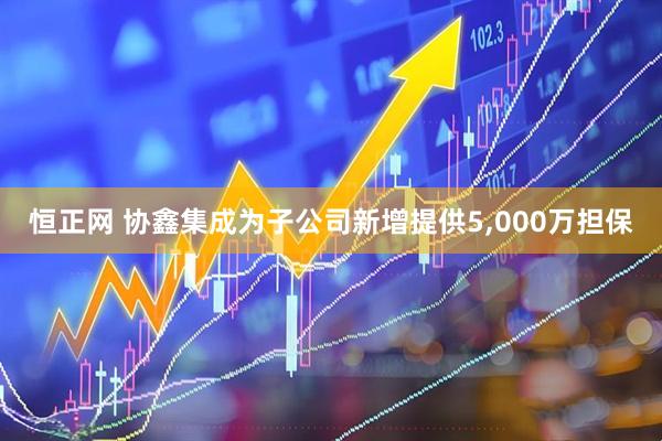恒正网 协鑫集成为子公司新增提供5,000万担保