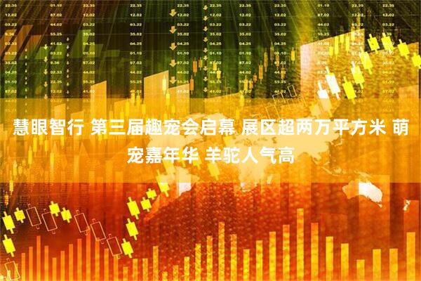 慧眼智行 第三届趣宠会启幕 展区超两万平方米 萌宠嘉年华 羊驼人气高