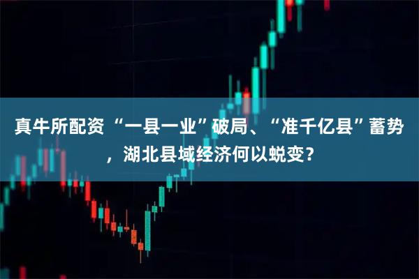 真牛所配资 “一县一业”破局、“准千亿县”蓄势，湖北县域经济何以蜕变？