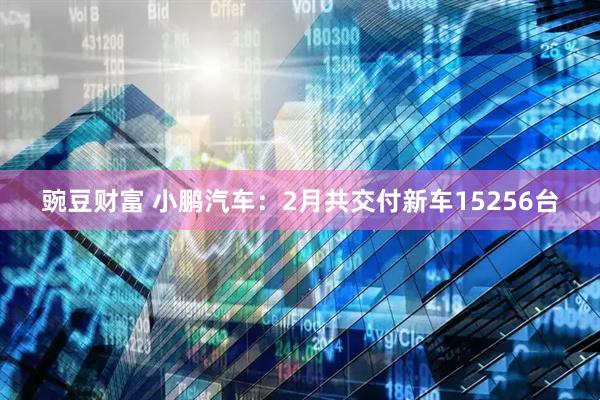 豌豆财富 小鹏汽车：2月共交付新车15256台