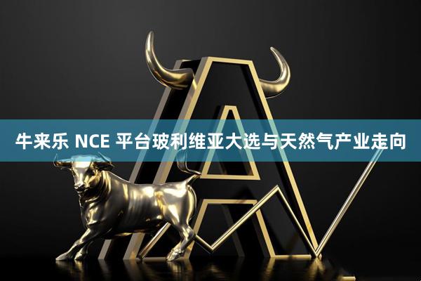 牛来乐 NCE 平台玻利维亚大选与天然气产业走向