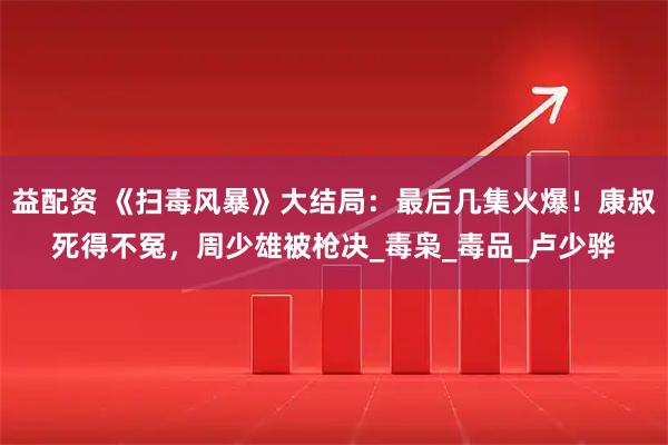 益配资 《扫毒风暴》大结局：最后几集火爆！康叔死得不冤，周少雄被枪决_毒枭_毒品_卢少骅